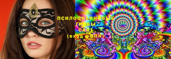 гашиш Богданович