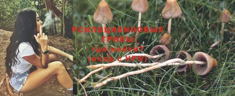 OMG сайт  Каневская  Галлюциногенные грибы Magic Shrooms 